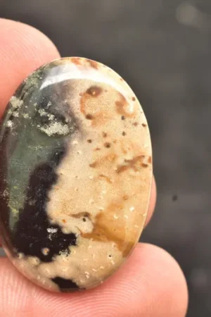 Palm Root Cabochon / Fossilized Palm Root Gemstone / Oval Shape / 34.00 Ct. / 34x23x5 mm. / Loose Gemstone / Q-166