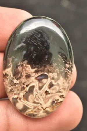 Palm Root Cabochon / Fossilized Palm Root Gemstone / Oval Shape / 44.35 Ct. / 37x26x6 mm. / Loose Gemstone / Q-163