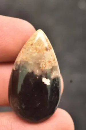 Title: Palm Root Cabochon / Fossilized Palm Root Gemstone / Oval Shape / 44.35 Ct. / 37×26×6 mm. / Loose Gemstone / Q-163