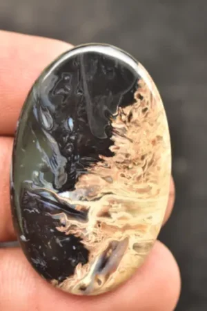 Palm Root Cabochon / Fossilized Palm Root Gemstone / Oval Shape / 29.95 Ct. / 41x25x3 mm. / Loose Gemstone / Q-164