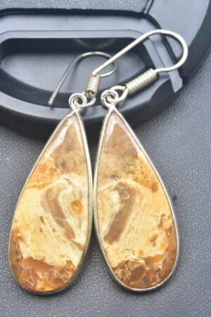 Patrified Fossil Cabochon / Plated Silver Earring / For Jewelry / Pear Shape / Loose Gemstone Jewelrys A-231