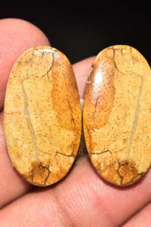 Palm Root Pair Cabochon / Palm Root Pair Gemstone / Fossilized Palm Root / Oval Shape / 26.30 Ct. / 26x14x4 mm / Loose Gemstone / Q-786