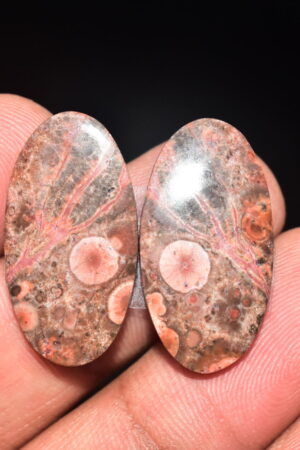 Poppy Jasper Pair Cabochon / Poppy Jasper Pair Gemstone / For Earrings / Oval Shape / 18.75 Ct. / 25x13x4 mm. Loose Gemstone / Q-764