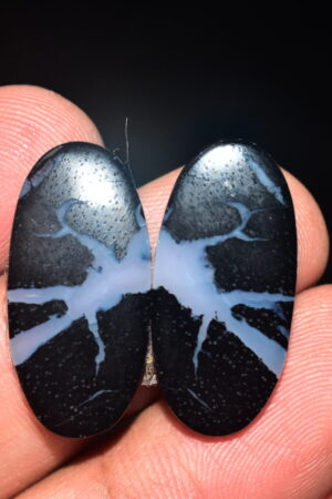 Palm Root Pair Cabochon / Palm Root Pair Gemstone / Fossilized Palm Root / Oval Shape / 21.45 Ct. / 26x12x4 mm / Loose Gemstone / Q-803