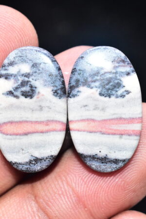 Porcelain Jasper Pair Cabochon / Porcelain Jasper Pair Gemstone / Exotica Jasper Pair / Oval Shape / 24.95 Ct. / 22x13x4 mm. / Q-829