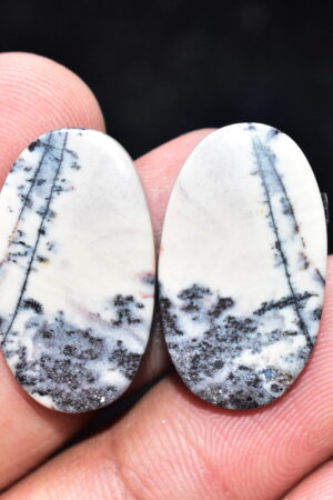 Porcelain Jasper Pair Cabochon / Porcelain Jasper Pair Gemstone / Exotica Jasper Pair / Oval Shape / 25.90 Ct. / 25x14x4 mm. / Q-823