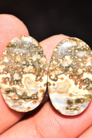 Ocean Jasper Pair Cabochon / Top Quality Ocean Jasper Pair Gemstone / Oval Shape / 30.75 Ct. / 24x14x4 mm. Loose Gemstone / Q-964