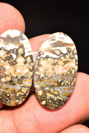 Ocean Jasper Pair Cabochon / Top Quality Ocean Jasper Pair Gemstone / Oval Shape / 25.60 Ct. / 24x14x4 mm. Loose Gemstone / Q-975