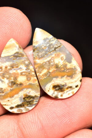 Ocean Jasper Pair Cabochon / Top Quality Ocean Jasper Pair Gemstone / Pear Shape / 21.05 Ct. / 24x13x4 mm. Loose Gemstone / Q-980