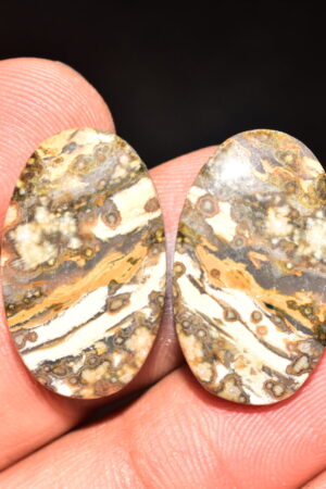 Ocean Jasper Pair Cabochon / Top Quality Ocean Jasper Pair Gemstone / Oval Shape / 30.05 Ct. / 24x14x5 mm. Loose Gemstone / Q-976