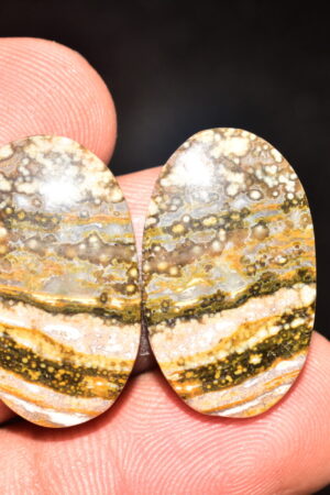 Ocean Jasper Pair Cabochon / Top Quality Ocean Jasper Pair Gemstone / Oval Shape / 33.90 Ct. / 25x15x5 mm. Loose Gemstone / Q-963