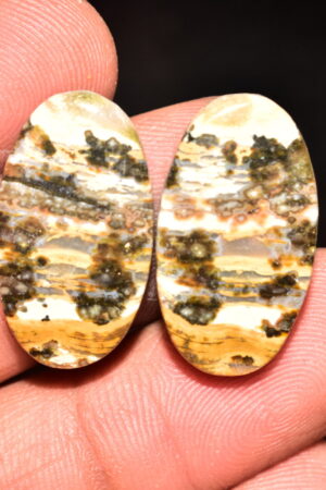 Ocean Jasper Pair Cabochon / Top Quality Ocean Jasper Pair Gemstone / Oval Shape / 28.05 Ct. / 24x13x5 mm. Loose Gemstone / Q-973