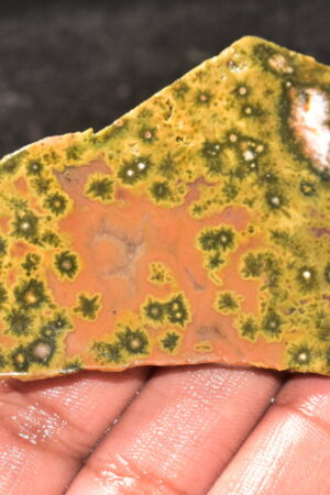 Ocean Jasper Slice Cabochon / Top Quality Ocean Jasper Gemstone / Slice / 187.00 Ct. / 81x57x5 mm. Loose Gemstone A-216