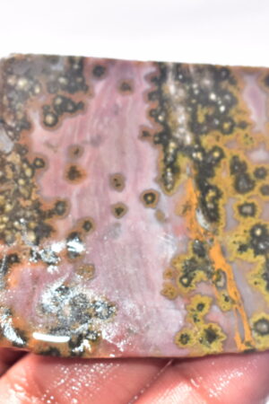 Ocean Jasper Slice Cabochon / Top Quality Ocean Jasper Gemstone / Slice / 168.65 Ct. / 55x54x5 mm. Loose Gemstone A-217