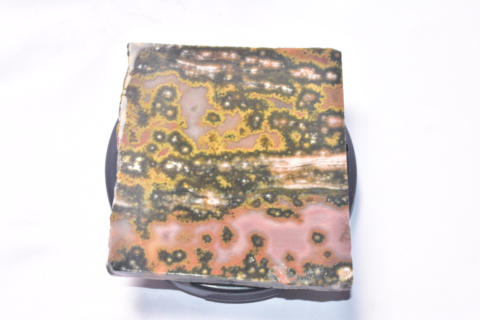Ocean Jasper Slice Cabochon / Top Quality Ocean Jasper Gemstone / Slice / 181.30 Ct. / 55x53x5 mm. Loose Gemstone A-210 - Image 2