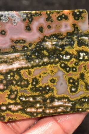Ocean Jasper Slice Cabochon / Top Quality Ocean Jasper Gemstone / Slice / 181.30 Ct. / 55x53x5 mm. Loose Gemstone A-210