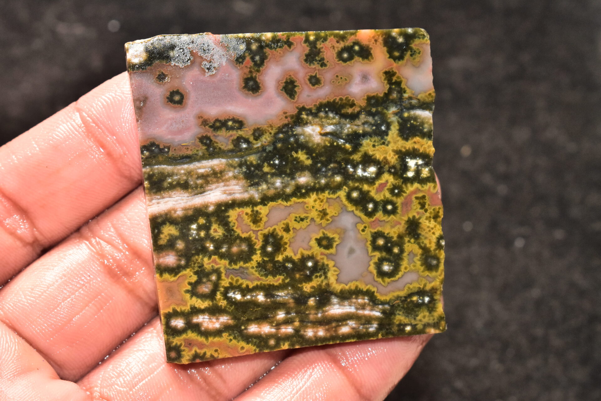 Ocean Jasper Slice Cabochon / Top Quality Ocean Jasper Gemstone / Slice / 181.30 Ct. / 55x53x5 mm. Loose Gemstone A-210