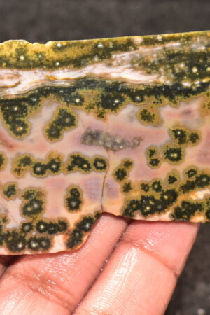 Ocean Jasper Slice Cabochon / Top Quality Ocean Jasper Gemstone / Slice / 272.40 Ct. / Loose Gemstone A-228