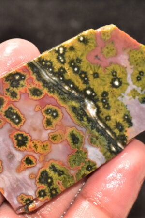 Ocean Jasper Slice Cabochon / Top Quality Ocean Jasper Gemstone / Slice / 178.50 Ct. / 70x42x6 mm. Loose Gemstone A-215