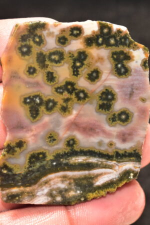 Ocean Jasper Slice Cabochon / Top Quality Ocean Jasper Gemstone / Slice / 141.50 Ct. / 52x43x5 mm. Loose Gemstone A-211