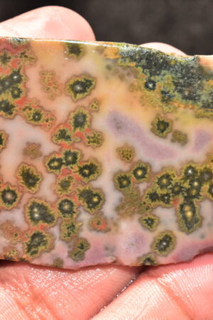 Ocean Jasper Slice Cabochon / Top Quality Ocean Jasper Gemstone / Slice / 120.00 Ct. / 49x41x5 mm. Loose Gemstone A-225