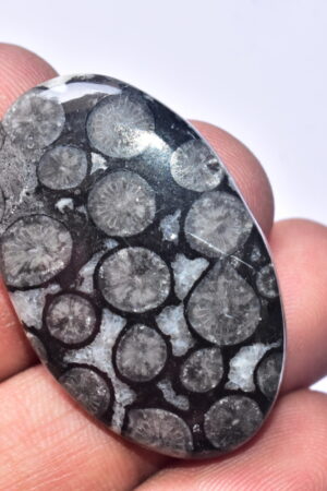 Flower Obsidian Cabochon / Flower Obsidian Gemstone / Oval Shape / 46.35 Ct. / 39x24x5 mm. / Loose Gemstone / B-102