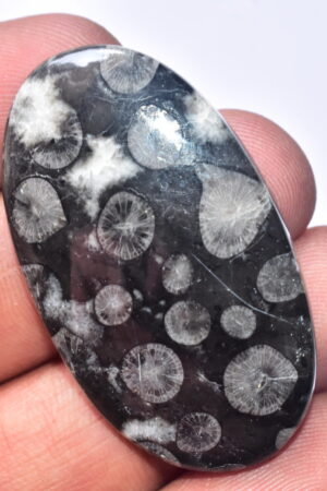 Flower Obsidian Cabochon / Flower Obsidian Gemstone / Oval Shape / 59.25 Ct. / 45x26x5 mm. / Loose Gemstone / B-113