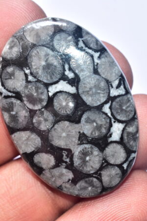 Flower Obsidian Cabochon / Flower Obsidian Gemstone / Oval Shape / 68.65 Ct. / 39x27x6 mm. / Loose Gemstone / B-105
