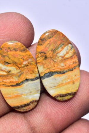 Bumble Bee Jasper Pair Gemstone / Oval Shape / 23.95 ct. / 25x14x4 mm Loose Gemstone S-145