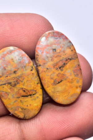 Bumble Bee Jasper Pair Gemstone / Oval Shape / 25.95 ct. / 25x14x3 mm. Loose Gemstone S-163