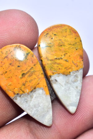 Bumble Bee Jasper Pair Gemstone / Pear Shape / 2715 ct. / 28x14x4 mm. Loose Gemstone S-159