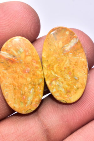 Bumble Bee Jasper Pair Gemstone / For Earrings / Oval Shape / 24.25 ct. / 24x14x4 mm Loose Gemstone S-149