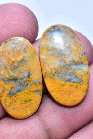 Bumble Bee Jasper Pair Gemstone / Oval Shape / 26.90 ct. / 25x14x4 mm / Loose Gemstone S-177