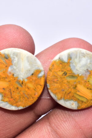 Bumble Bee Jasper Pair Gemstone / Round Shape / 30.00 ct. / 19x4 mm. / Loose Gemstone S-153