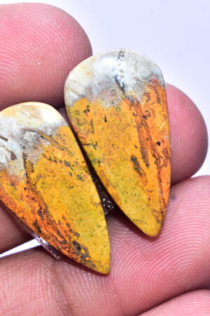Bumble Bee Jasper Pair Gemstone / Pear Shape / 23.80 ct. / 21x14x4 mm. / Loose Gemstone S-165