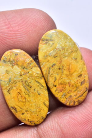Bumble Bee Jasper Pair Gemstone / For Earrings / Oval Shape 23.75 ct. / 24x13x4 mm Loose Gemstone S-175
