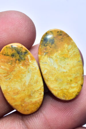 Bumble Bee Jasper Pair Gemstone / For Earrings / Oval Shape / 28.65 ct. / 24x14x5 mm Loose Gemstone S-169
