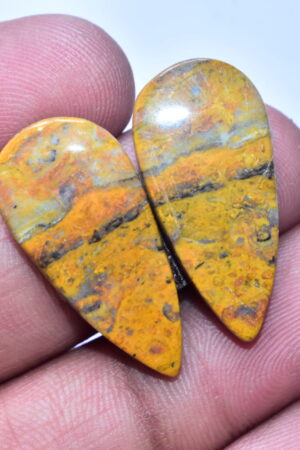 Bumble Bee Jasper Pair Gemstone / Pear Shape / 27.55 ct. / 28x13x4 mm. Loose Gemstone S-148