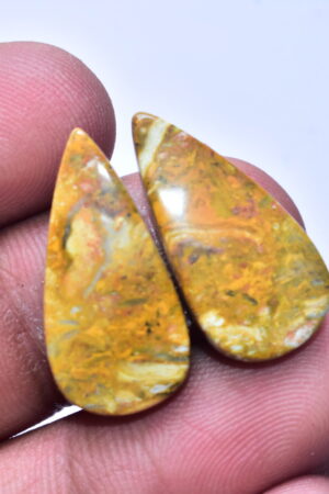 Bumble Bee Jasper Pair Gemstone / Pear Shape / 20.55 ct. / 25x12x4 mm. / Loose Gemstone S-176